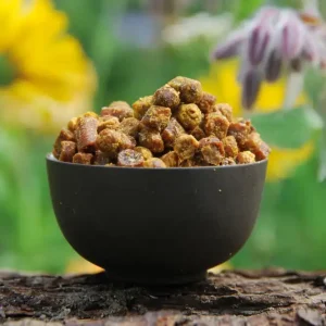 bienenbrot_perga Перга (пчелен хляб) 10гр